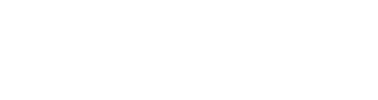 St. Ambrose University - Women's Lacrosse